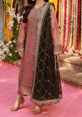 Asim Jofa Jag Mag Pakistani Net Dress