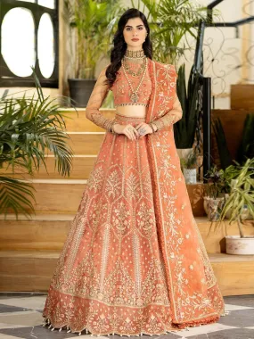 Designer Embroidered Net